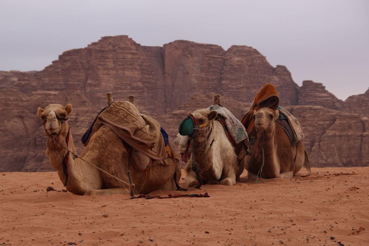 Wadi Rum Desert Secret Camp Exterior foto