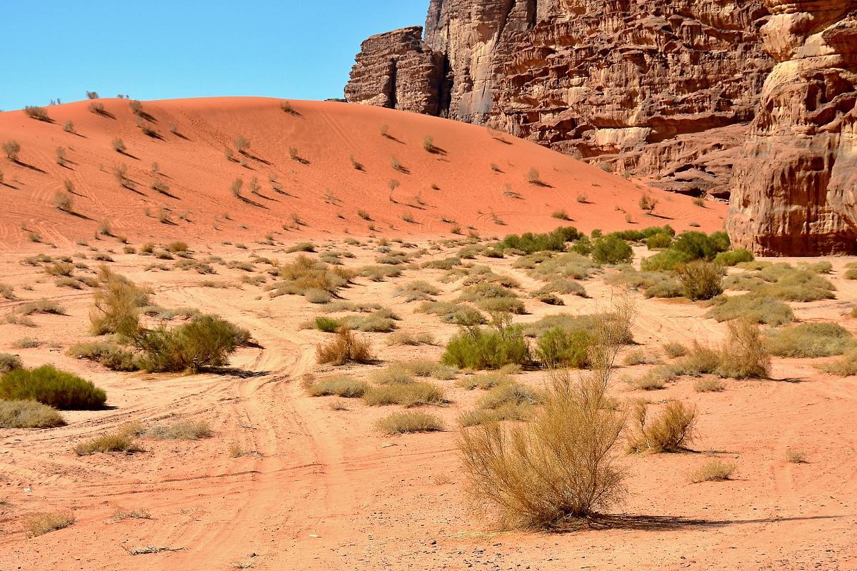 Wadi Rum Desert Secret Camp Exterior foto